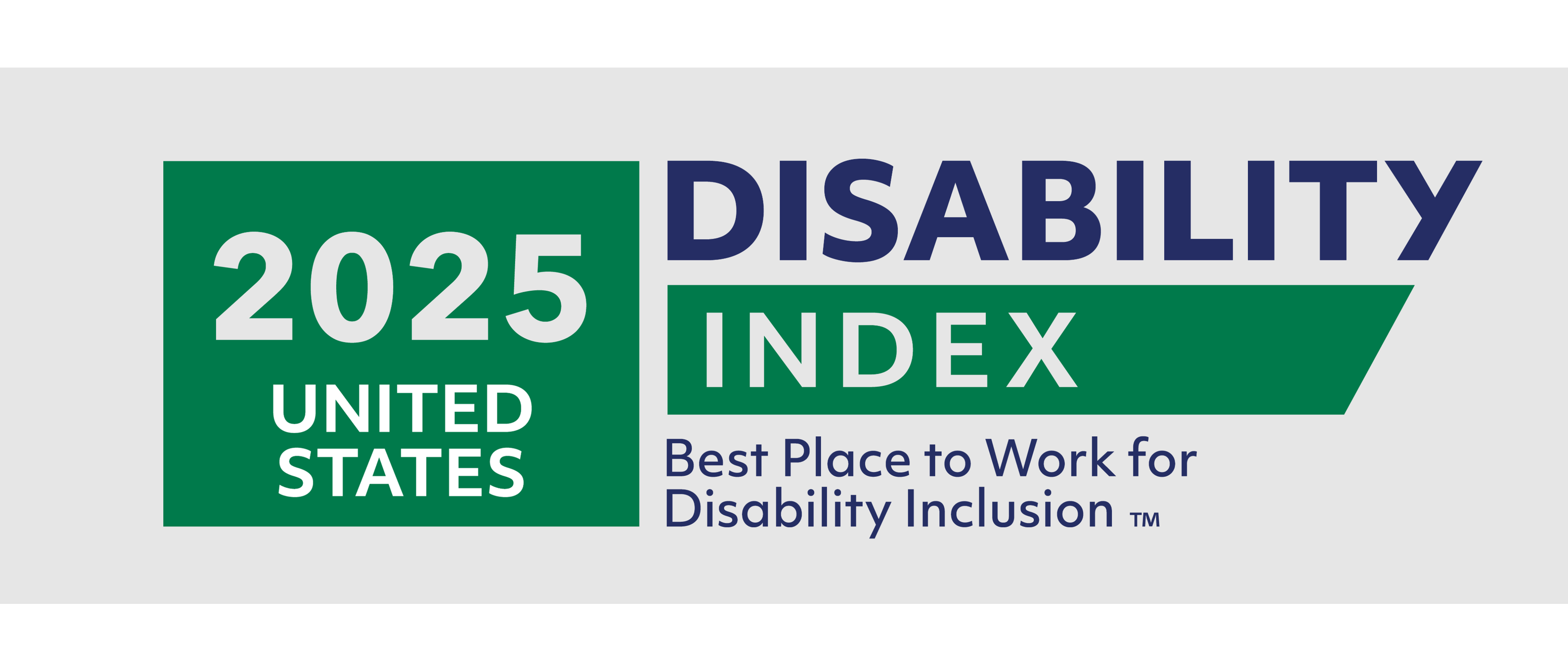 Disability Index 2025 Logo