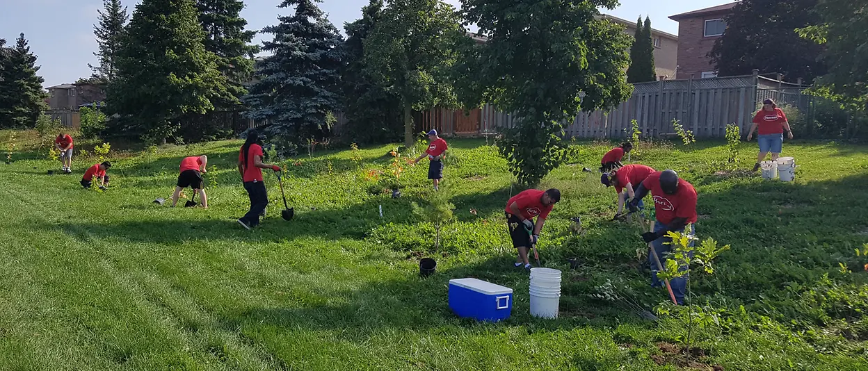 The Mississauga employees have planted over 200 trees in surrounding local parks, in support of One Million Trees Mississauga, an organization dedicated to planting one million trees by 2023.