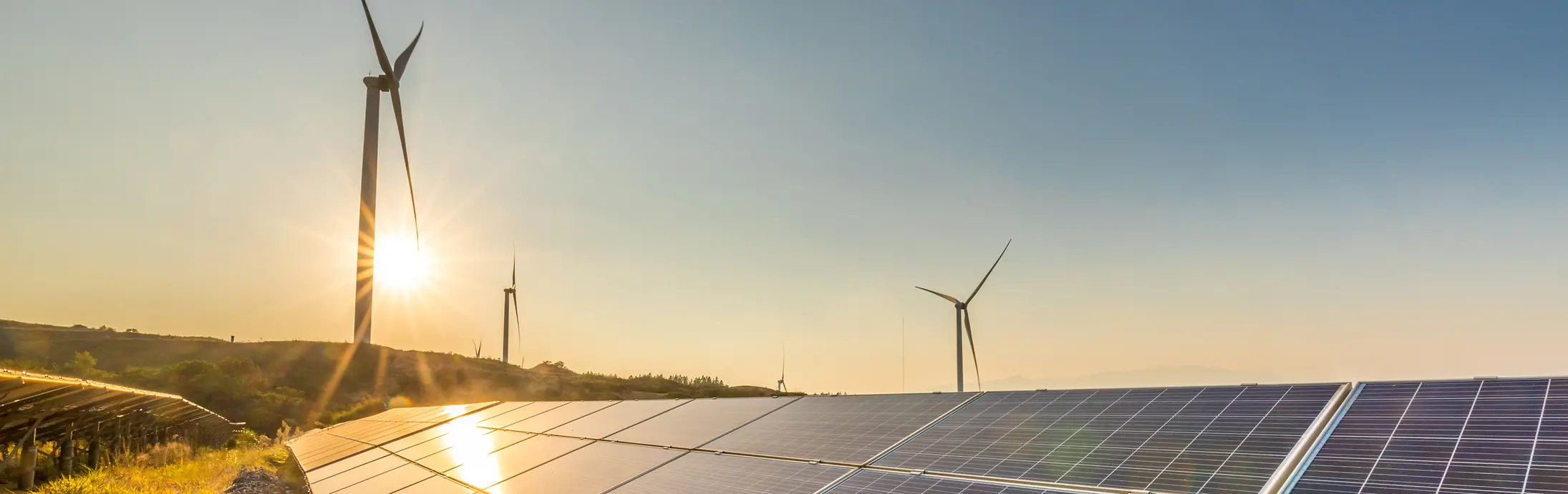 Solar panels at sunset with a windmills in the background