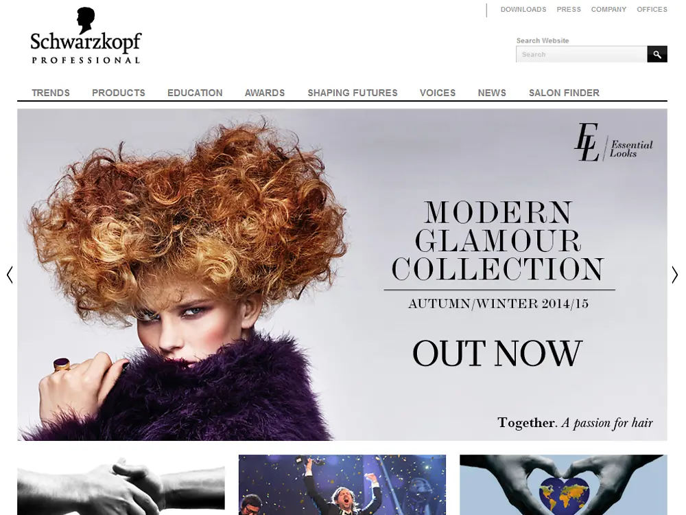 2014-09-15-schwarzkopf-pro-website